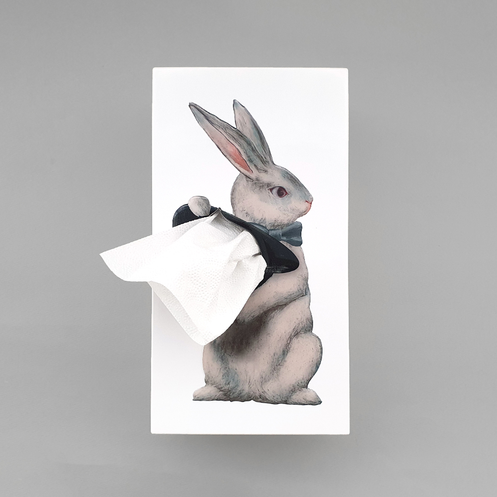 [SPEXTRUM] Wonder rabbit tissue up tale